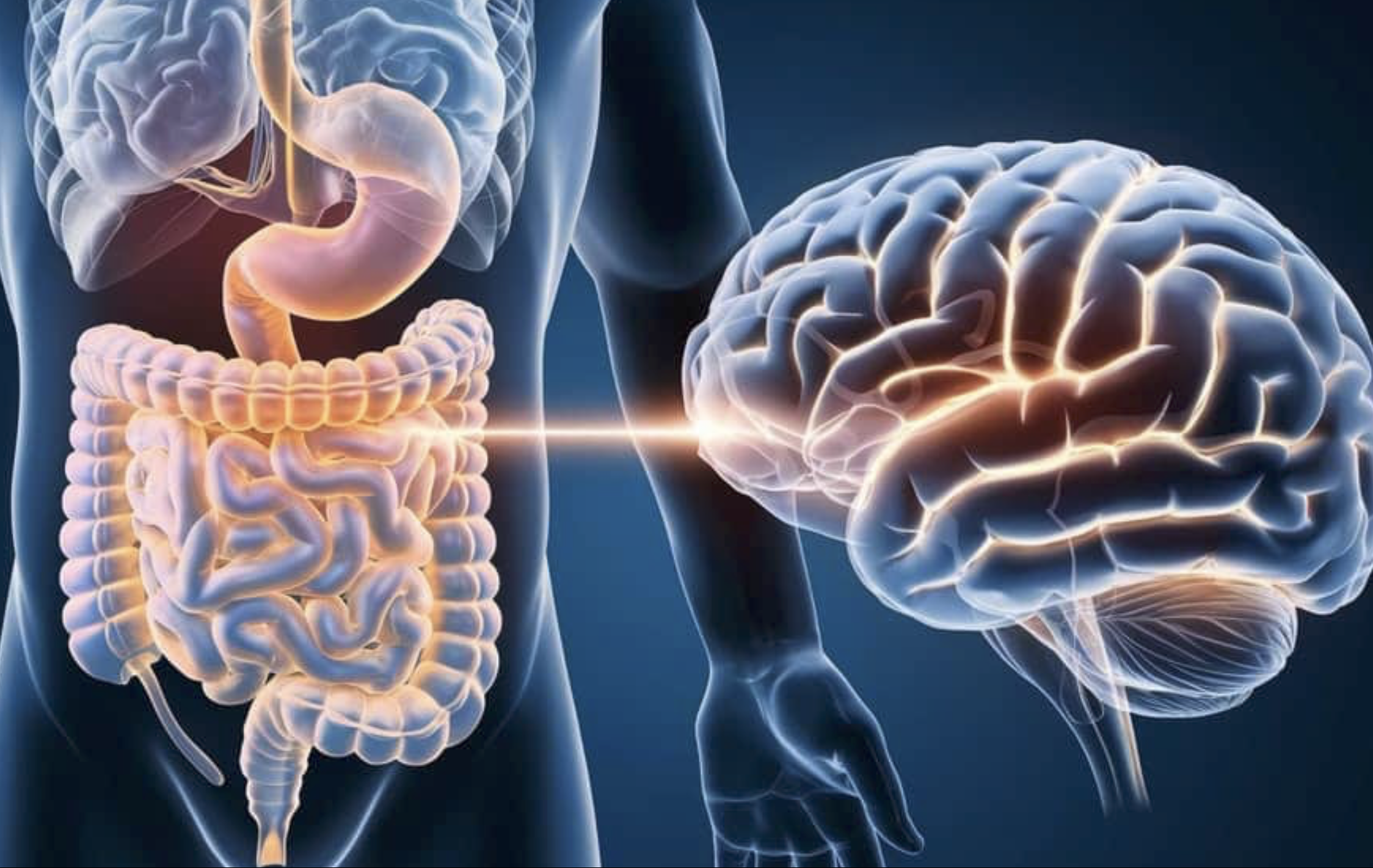 Screenshot 2026-04-01 at 2.12.58 AM